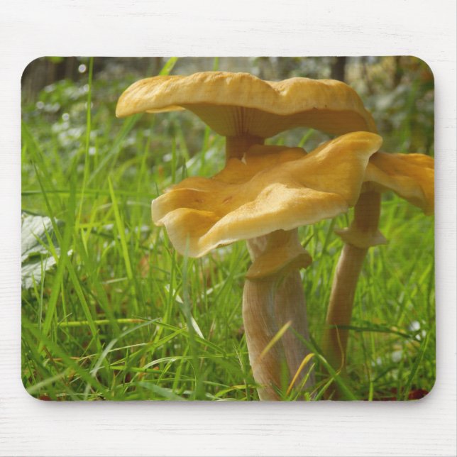 Tapis De Souris Mat de souris de champignon de miel (Devant)