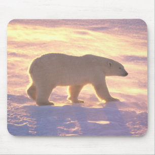 Tapis De Souris Matin 3 Mousepad d'ours blanc
