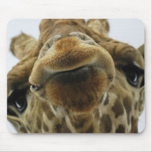 Tapis De Souris Mauspad Giraffe Baiser