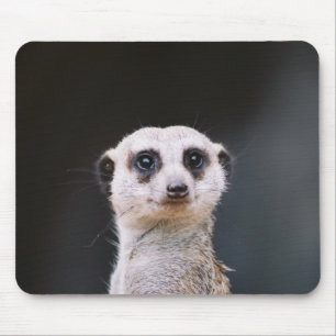 Tapis De Souris Me regardez-vous ?  Meerkat Mousepad