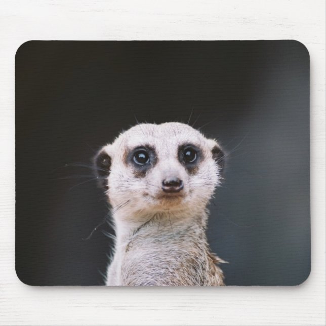 Tapis De Souris Me regardez-vous ?  Meerkat Mousepad (Devant)