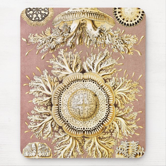 Tapis De Souris Méduse, Discomedusae par Ernst Haeckel (Devant)
