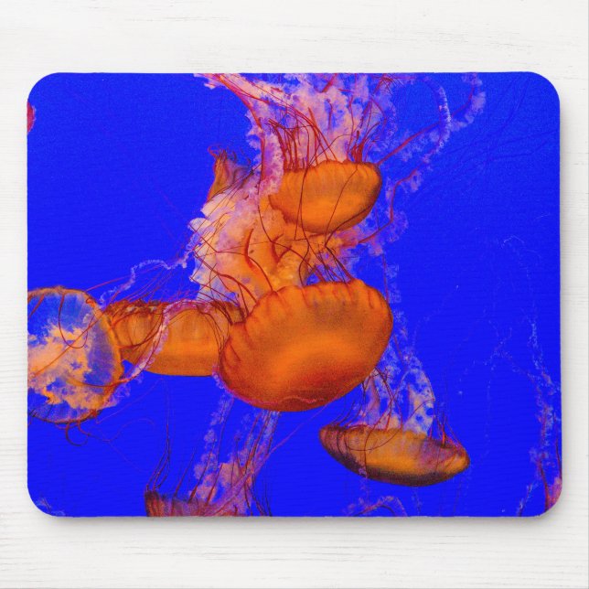 Tapis de souris Méduse Orange | Art de bureau Océa (Devant)