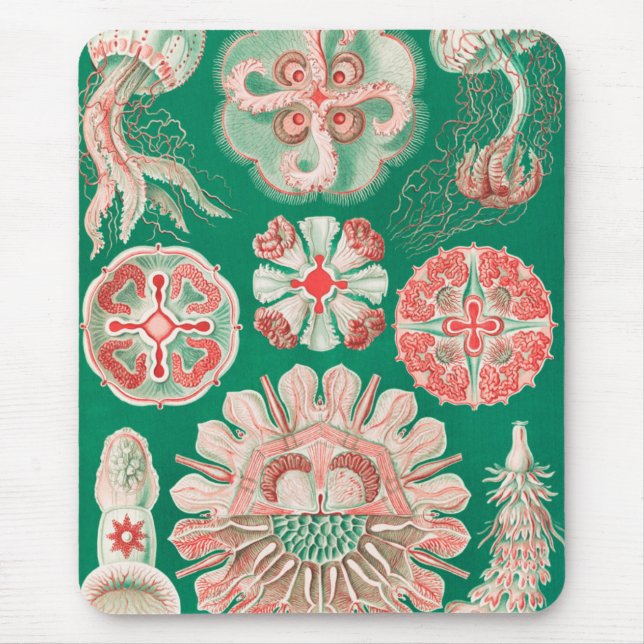 Tapis De Souris Méduses, Discomedusae par Ernst Haeckel (Devant)