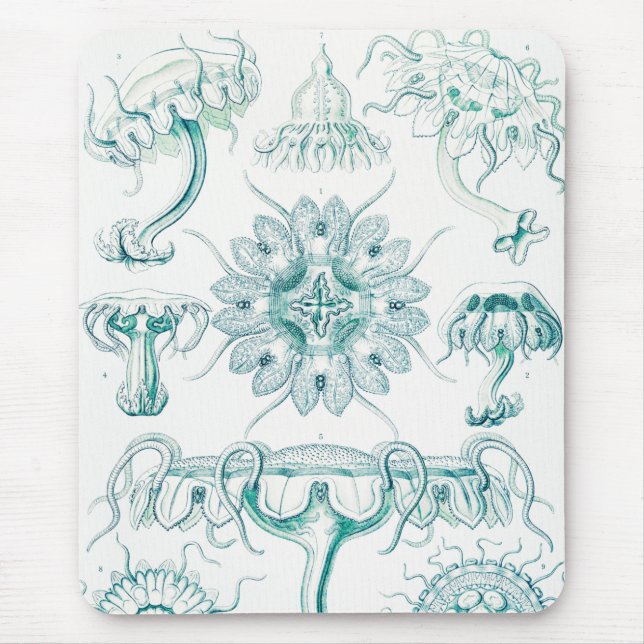 Tapis De Souris Méduses, Discomedusae par Ernst Haeckel (Devant)