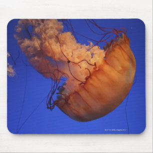 Tapis De Souris Méduses d'ortie de mer