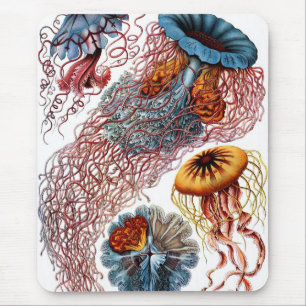 Tapis De Souris Méduses par Ernst Haeckel