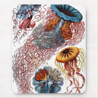 Tapis De Souris Méduses par Ernst Haeckel