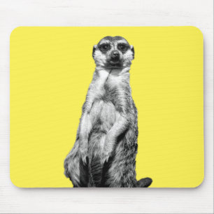Tapis De Souris Meerkat