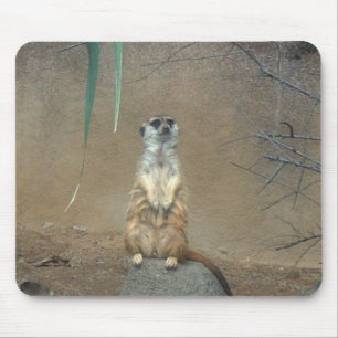Tapis De Souris Meerkat