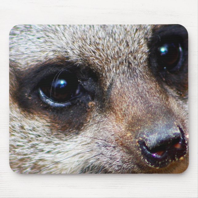 Tapis De Souris Meerkat (Devant)