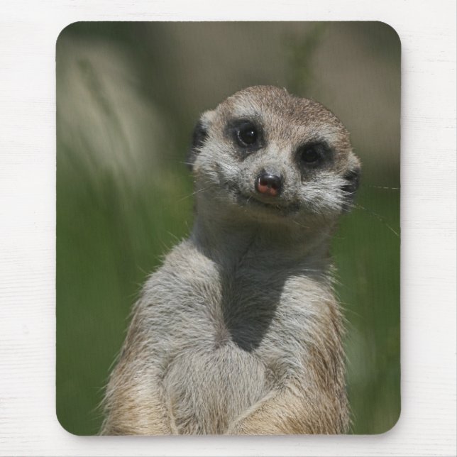 Tapis De Souris Meerkat 004 (Devant)