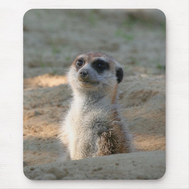 Tapis De Souris Meerkat 004 (Devant)