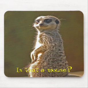Tapis De Souris Meerkat Mousepad c