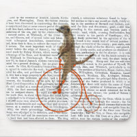 Meerkat sur Orange Penny Farthing