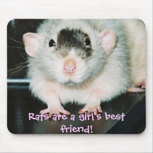 Tapis De Souris Meilleur ami de rats !