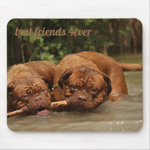 Tapis De Souris Meilleurs amis