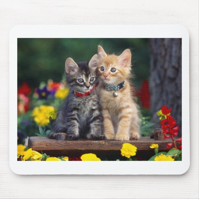 Tapis De Souris Meilleurs amis (Devant)