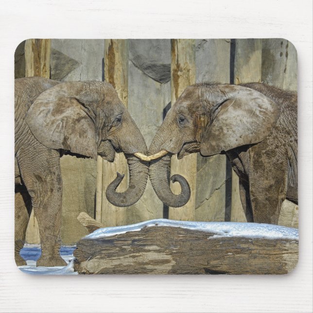 Tapis De Souris Meilleurs amis Mousepad d'éléphant (Devant)