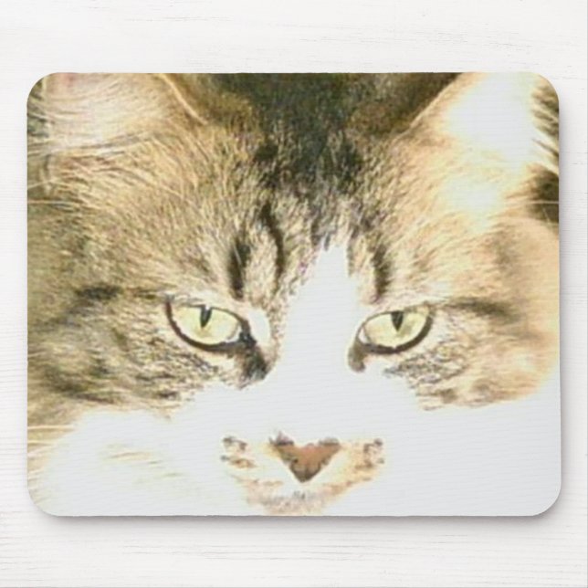Tapis De Souris Meow Cats 14 Mousepad (Devant)