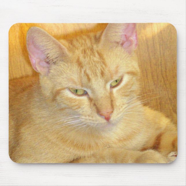 Tapis De Souris Meow Cats 15 Mousepad (Devant)
