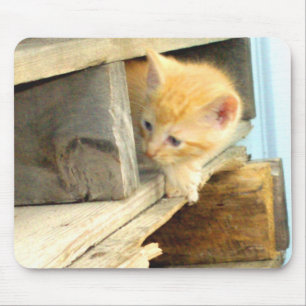 Tapis De Souris Meow Cats 1 MousePad