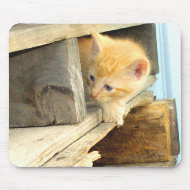 Tapis De Souris Meow Cats 1 MousePad (Devant)