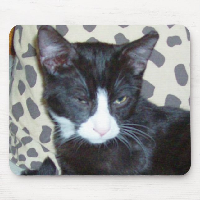 Tapis De Souris Meow Cats 20 Mousepad (Devant)