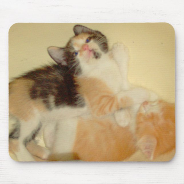 Tapis De Souris Meow Cats 5 Mousepad (Devant)