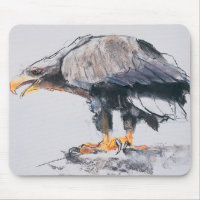 Mer Eagle coupée la queue par blanc 2001