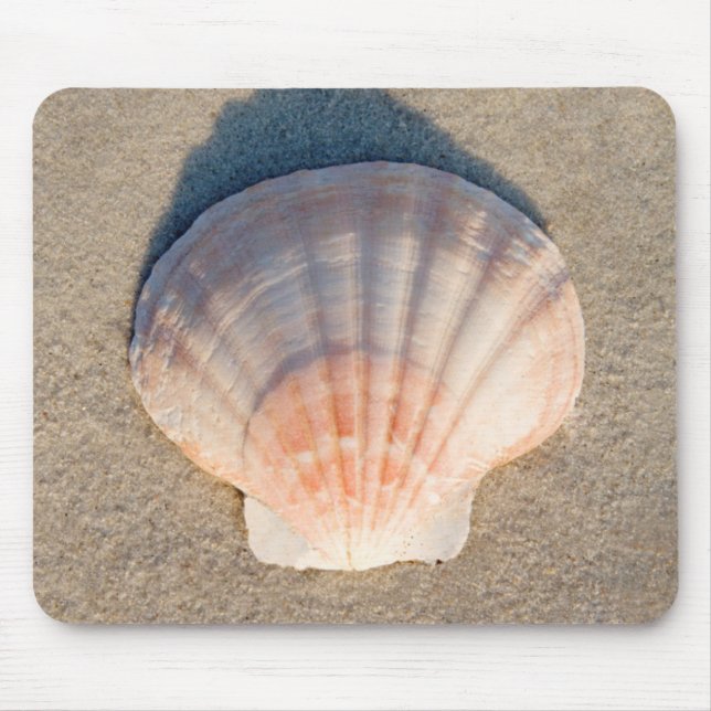 Tapis De Souris Mer Shell s'étendant sur la plage sablonneuse (Devant)