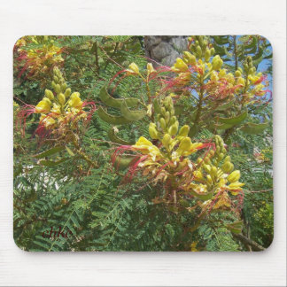 Tapis De Souris Merak