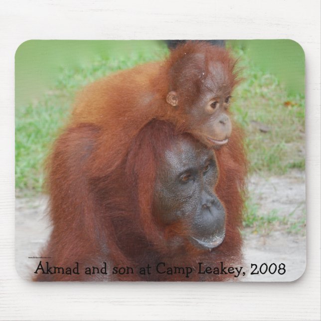 Tapis De Souris Mère célèbre d'orang-outan (Devant)
