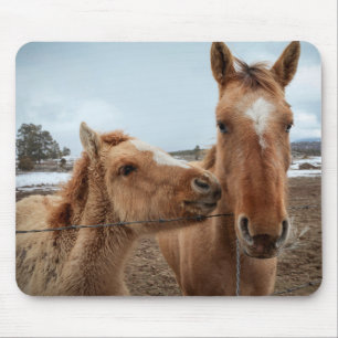 Tapis De Souris Mère Cheval et poulain