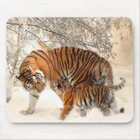 Mère du Tigre de Sibérie et son Petit