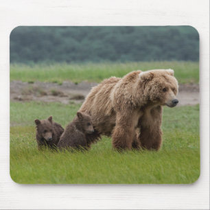 Tapis De Souris Mère Grizzly Oear avec des petits jumeaux