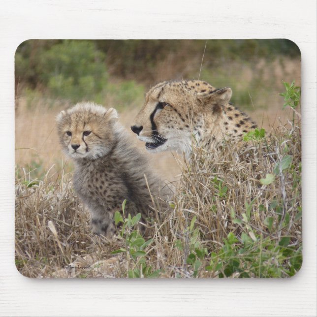Tapis De Souris Mère guépard et petit (Devant)