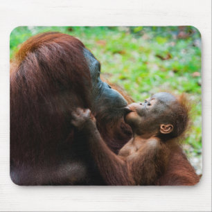 Tapis De Souris Mère orang-outan avec bébé