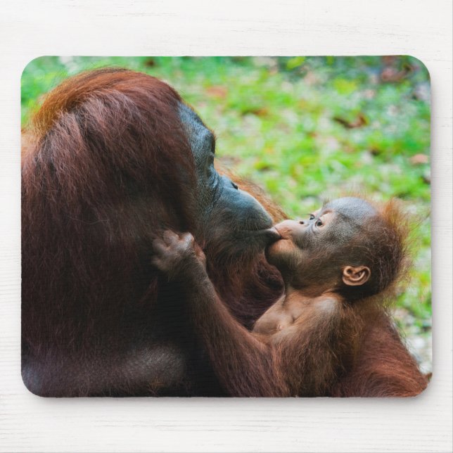 Tapis De Souris Mère orang-outan avec bébé (Devant)