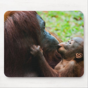 Tapis De Souris Mère orang-outan et bébé