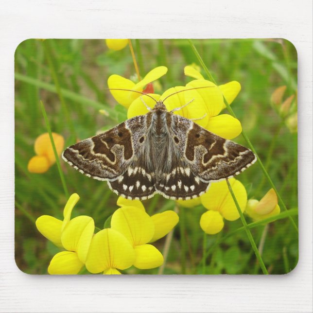 Tapis De Souris Mère Shipton Moth Mouse Mat (Devant)