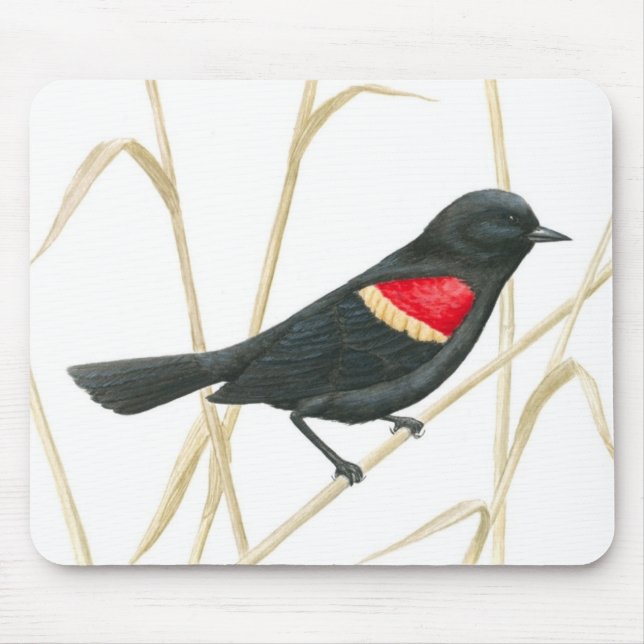 Tapis De Souris Merle à ailes rouges Mousepad (Devant)