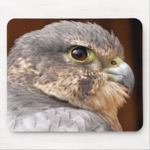 TAPIS DE SOURIS MERLIN FALCON OISEAU DE PREY