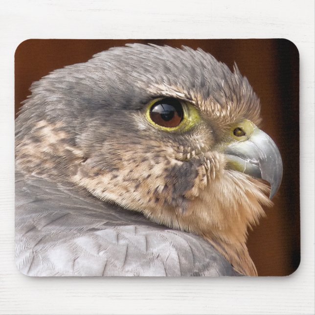 TAPIS DE SOURIS MERLIN FALCON OISEAU DE PREY (Devant)