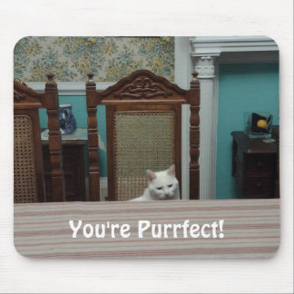 Tapis De Souris Message du chat : "Vous êtes parfait !"