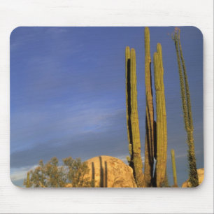 Tapis De Souris Mexique, Basse-Californie du Nord, Catavina Desert