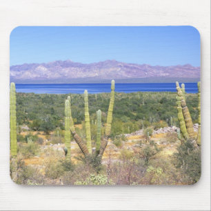 Tapis De Souris Mexique, Basse-Californie du Sud, Cactus Cardon à