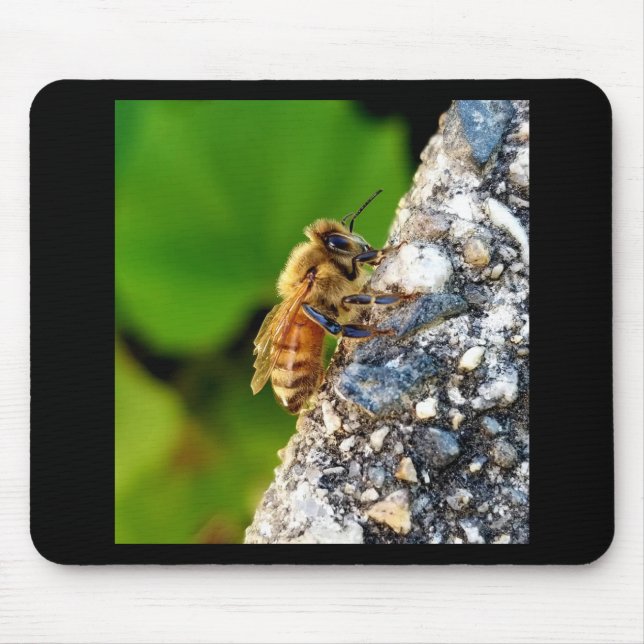 Tapis De Souris Mibee Mousepad (Devant)