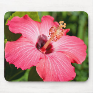 Tapis De Souris Michigan, Dearborn. Détail de l'Hibiscus rose