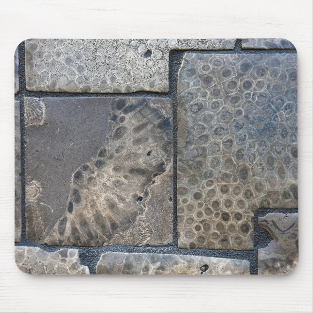 Tapis De Souris Michigan Petoskey Stone Design (Devant)
